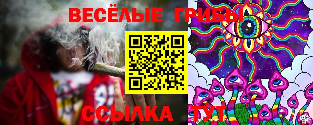 Псилоцибиновые грибы ЛСД Елец
