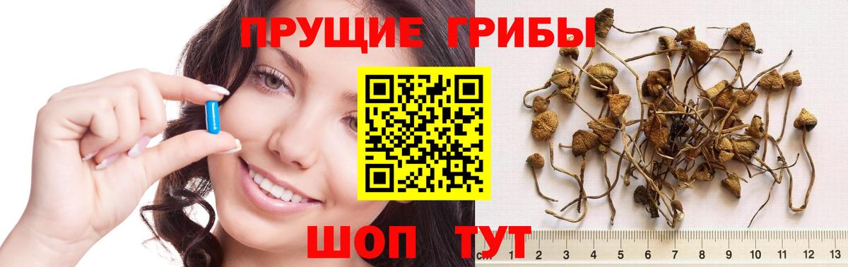 что такое наркотик  Псилоцибиновые грибы Magic Shrooms  Вход с VPN  Елец 